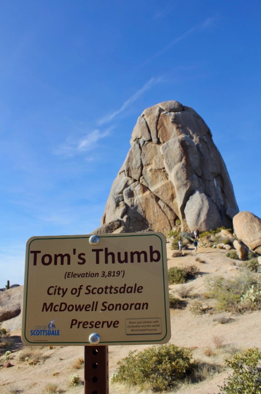 Tom's Thumb